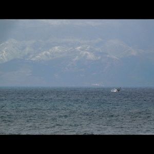 Wildlife Photography Prints